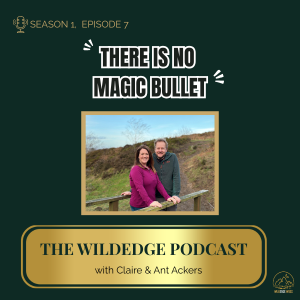 There Is No Magic Bullet (And It Is Costing You in Your Business)