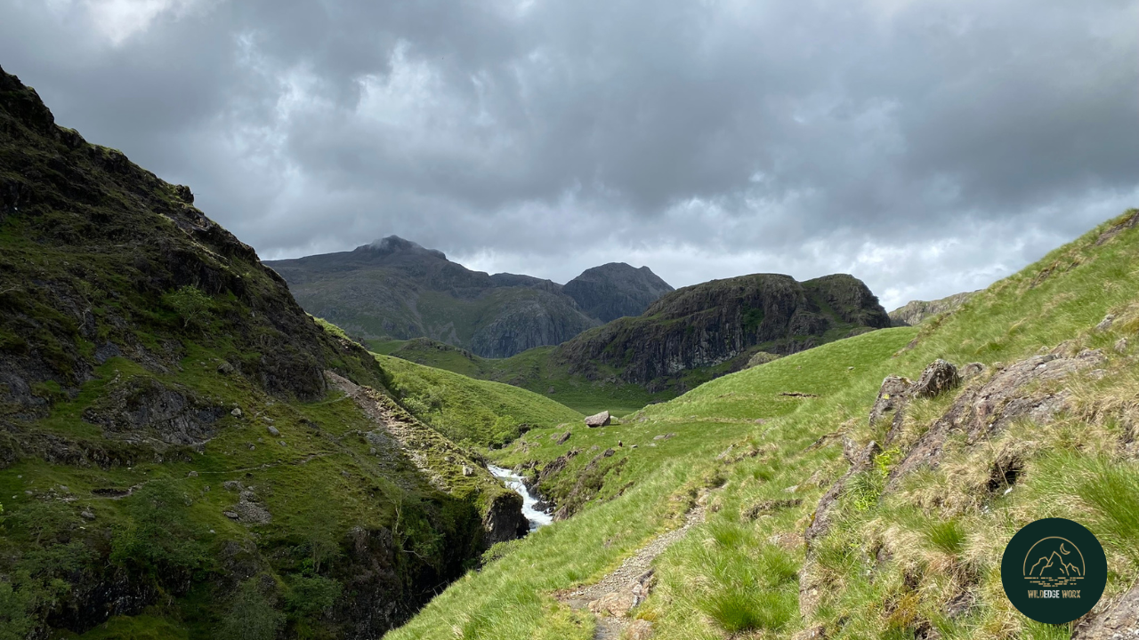 Notes from the Wild edge: Clarity Isn’t a Luxury. It’s a Leadership Responsibility