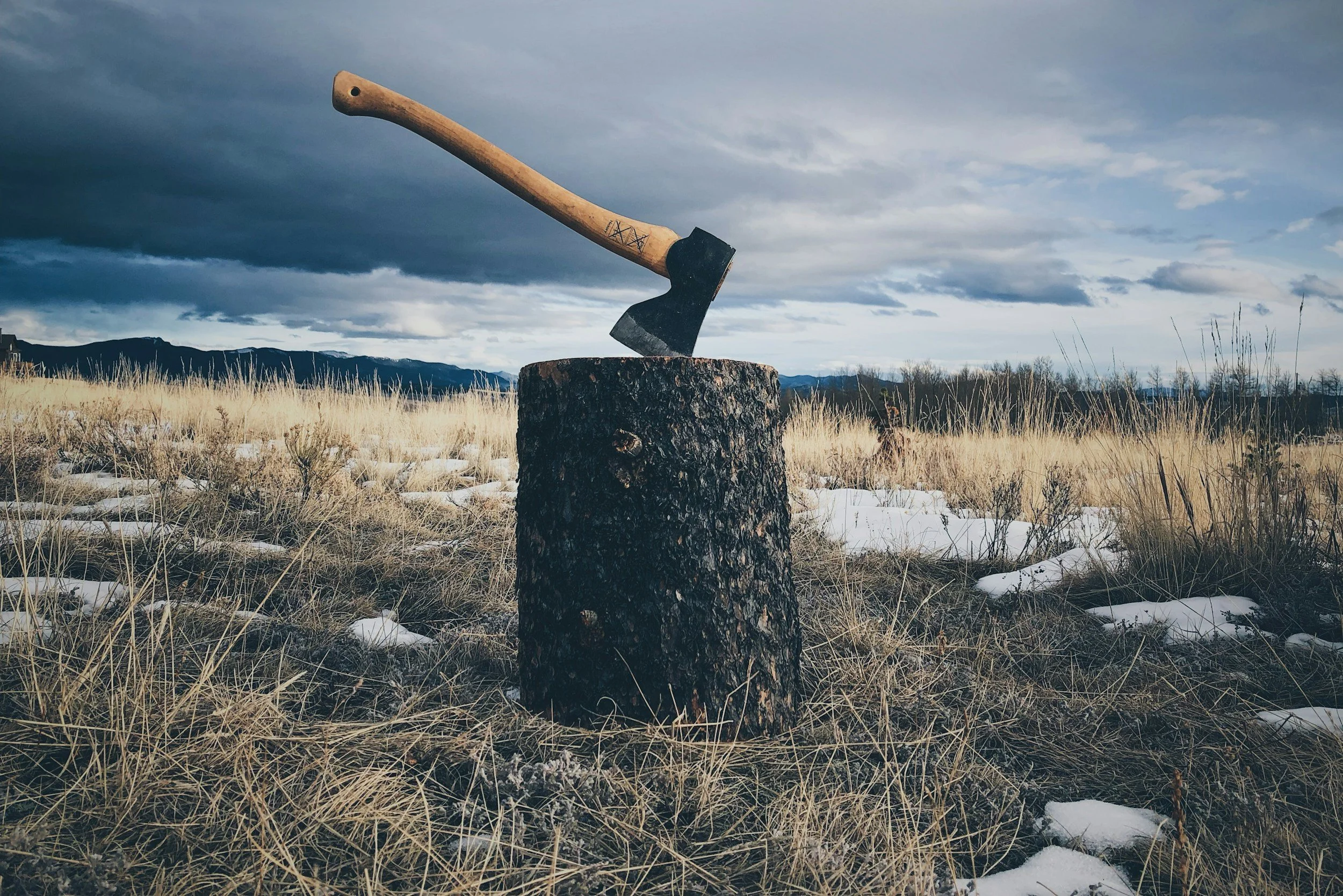 An axe is stuck into a tree stump with mountains and cloudy skies in the background