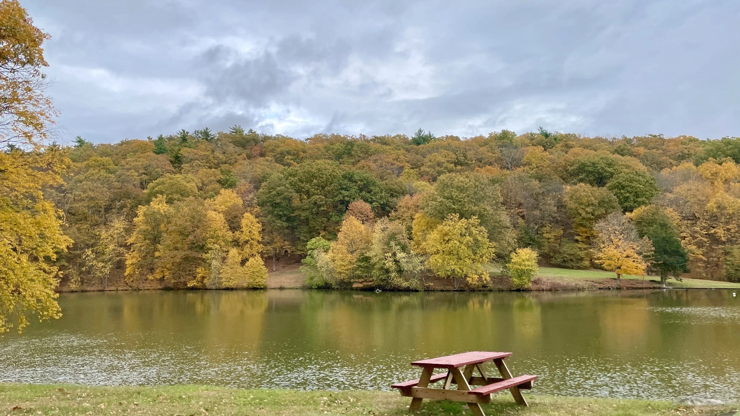 Picnic table beside a body of water with trees in full fall colors on the other side.