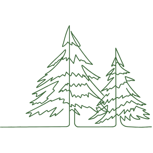 a green line drawing of two evergreen trees