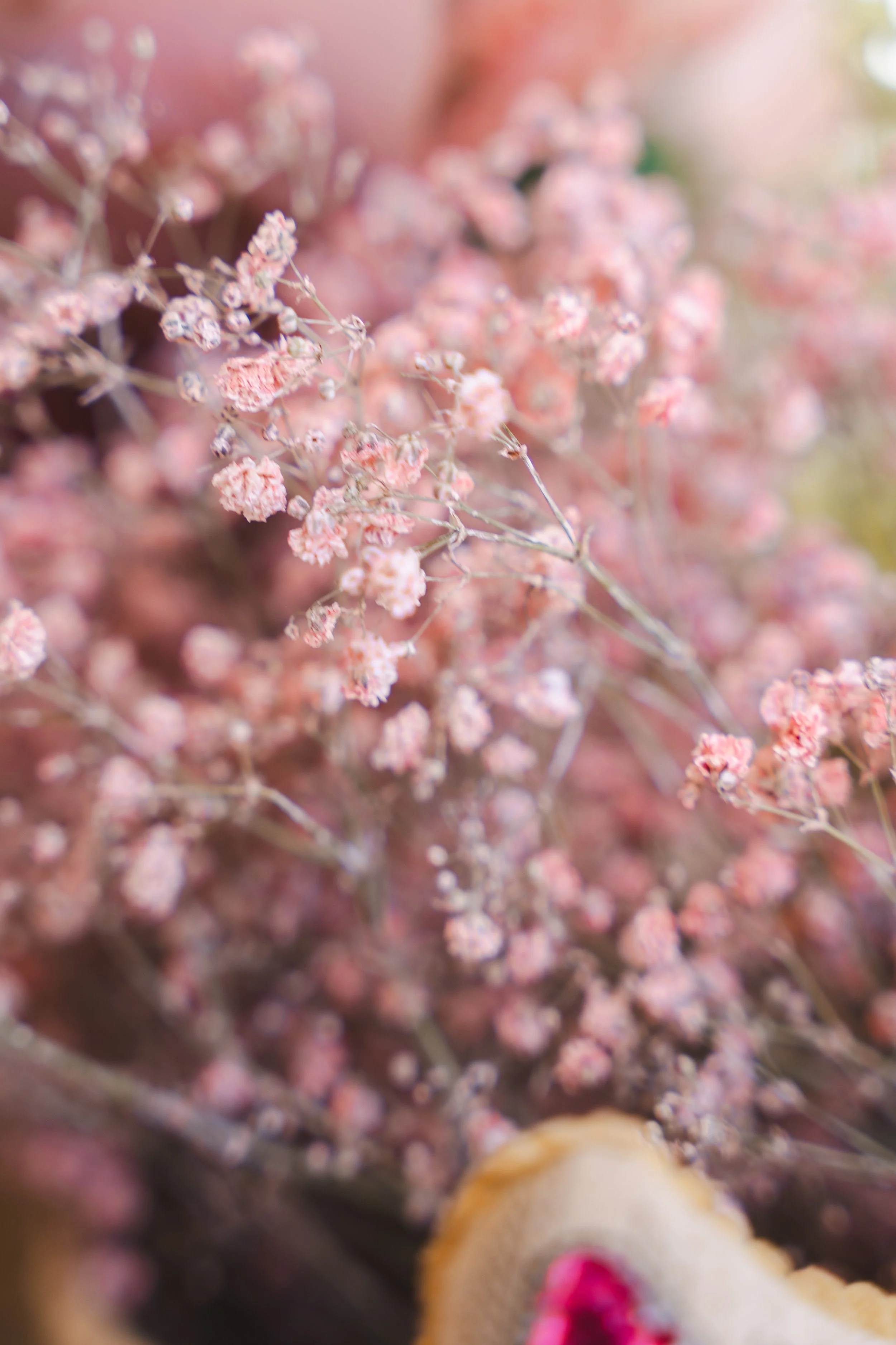 OHAZI EXPERIENCES - 23 MAYO