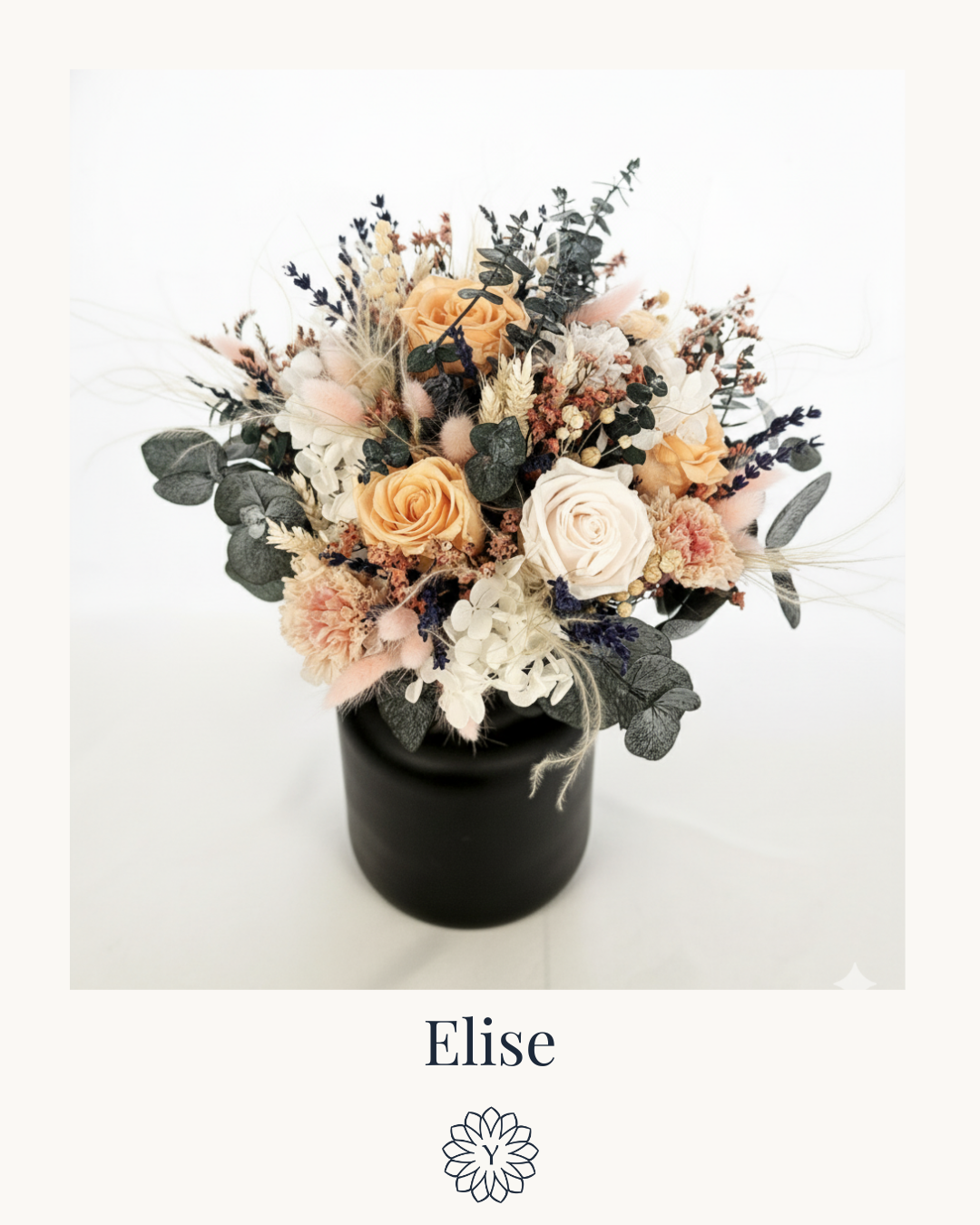 Elise_Nom.png