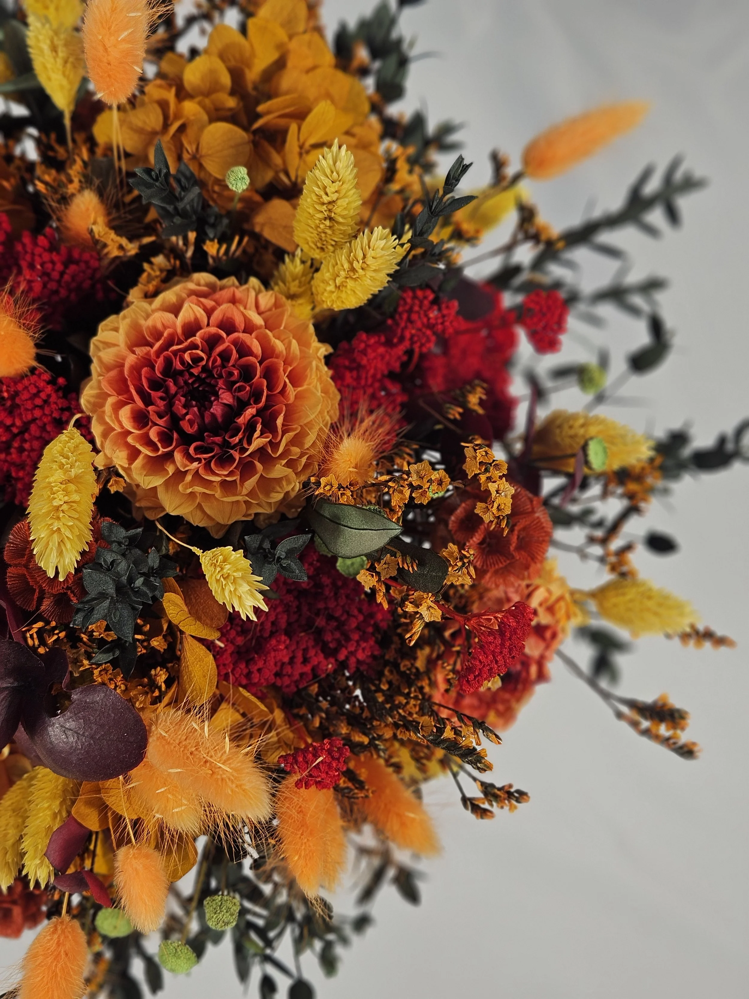 Les fleurs d'Ysé - Ambre (10).jpg