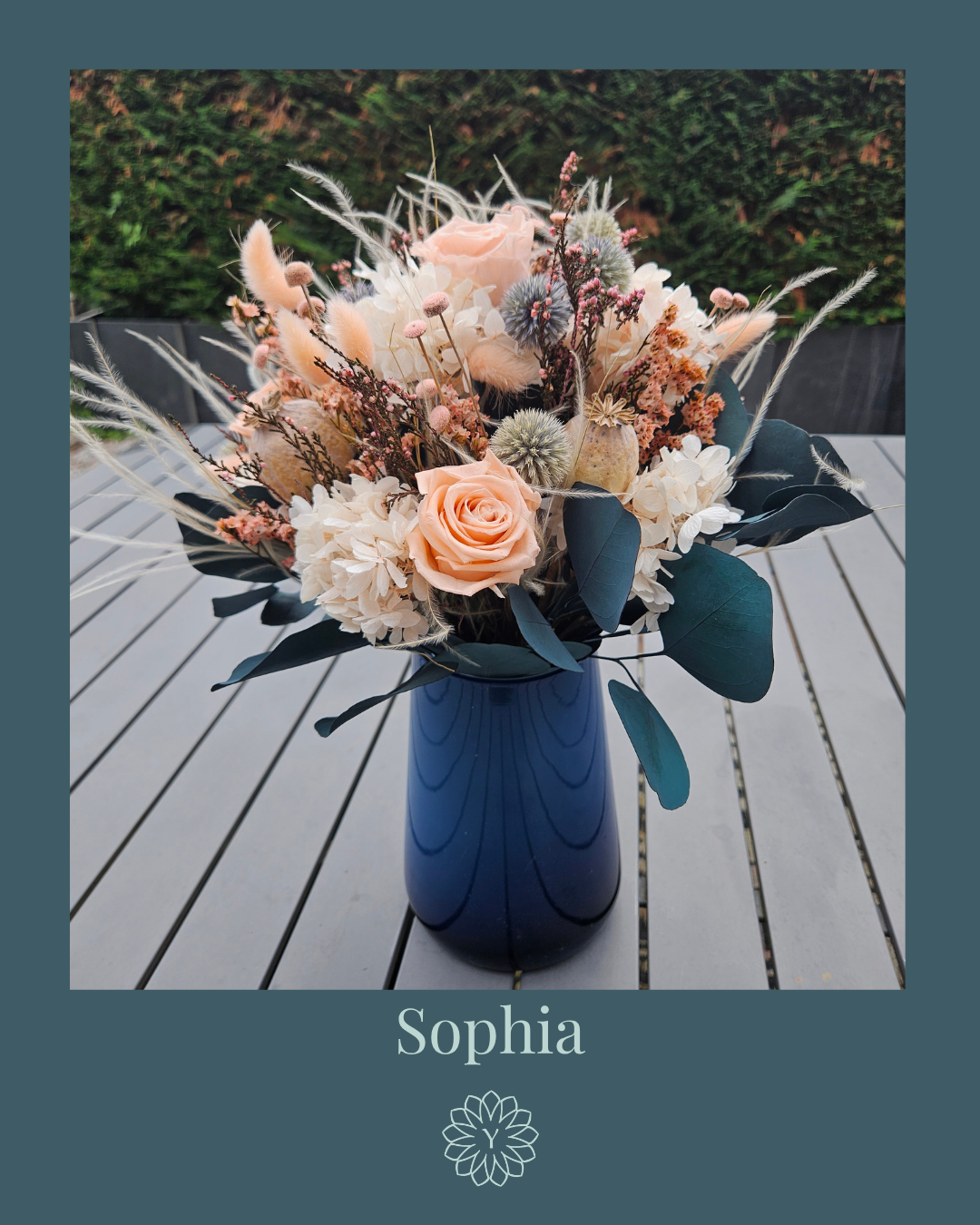 Sophia_Nom.png