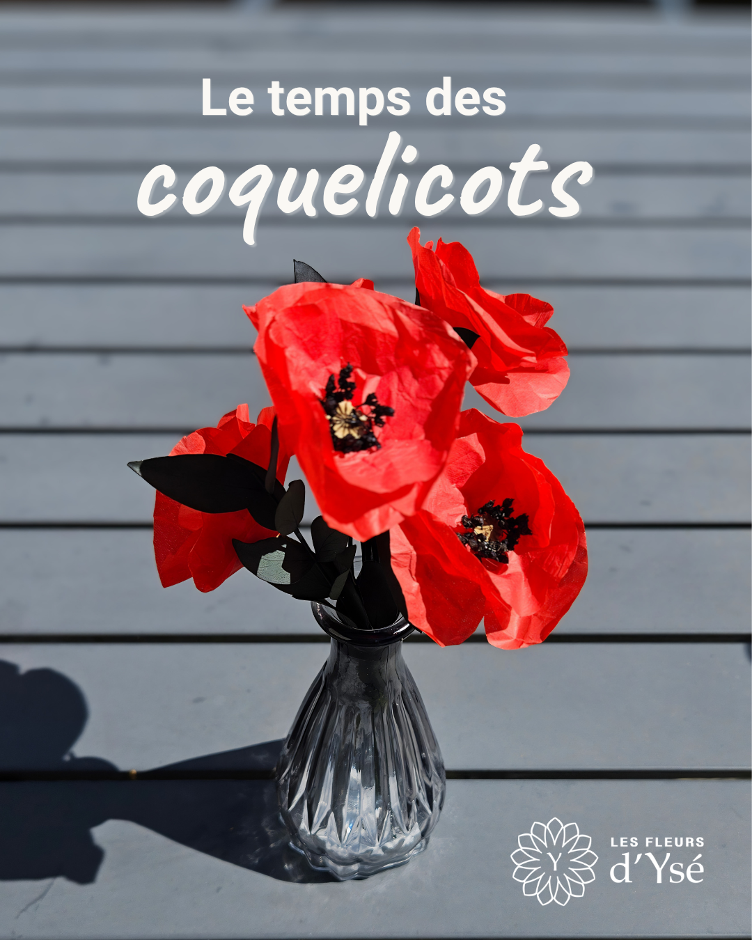 Le temps des coquelicots(1).png
