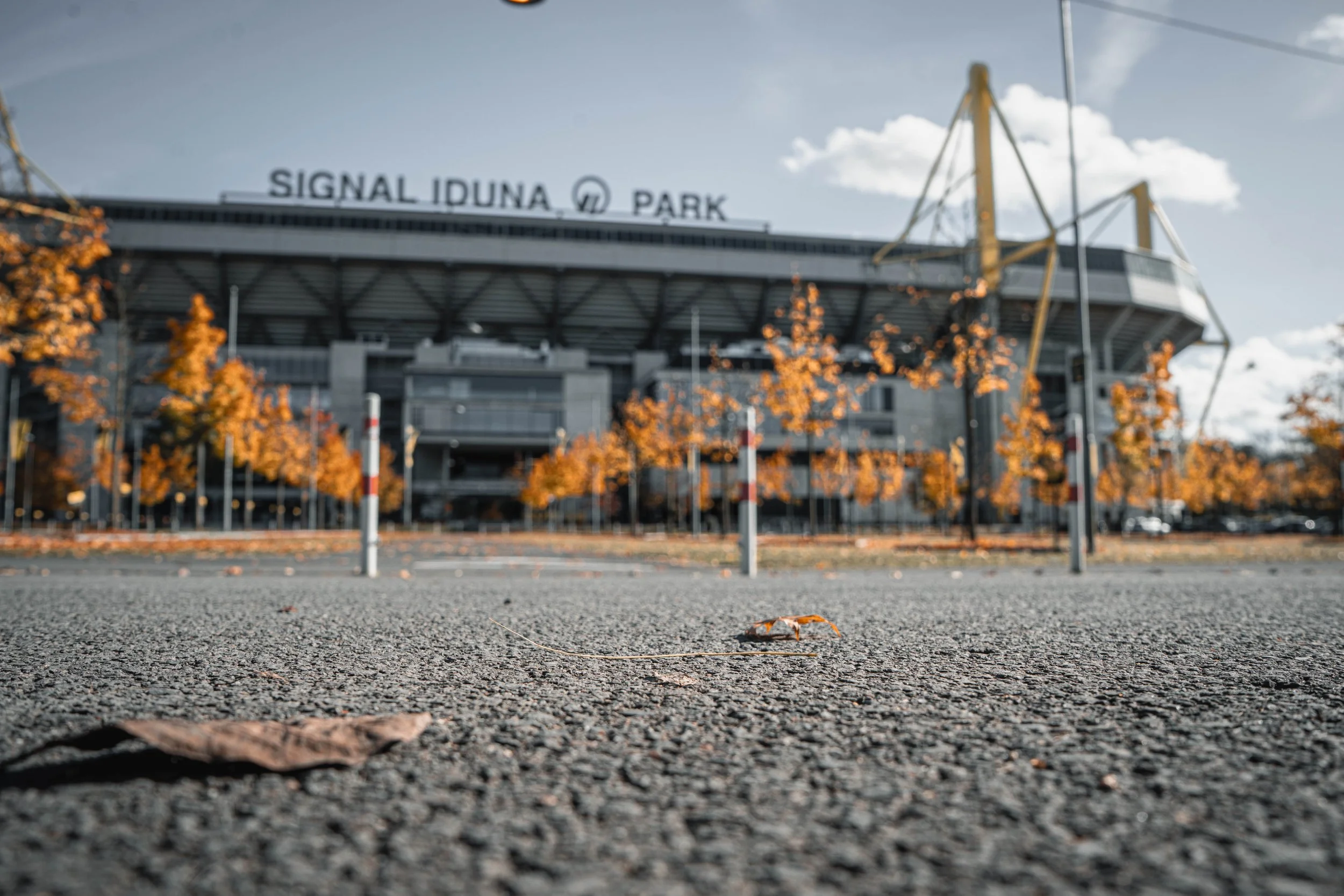 BvB U23 vs SSVg Velbert