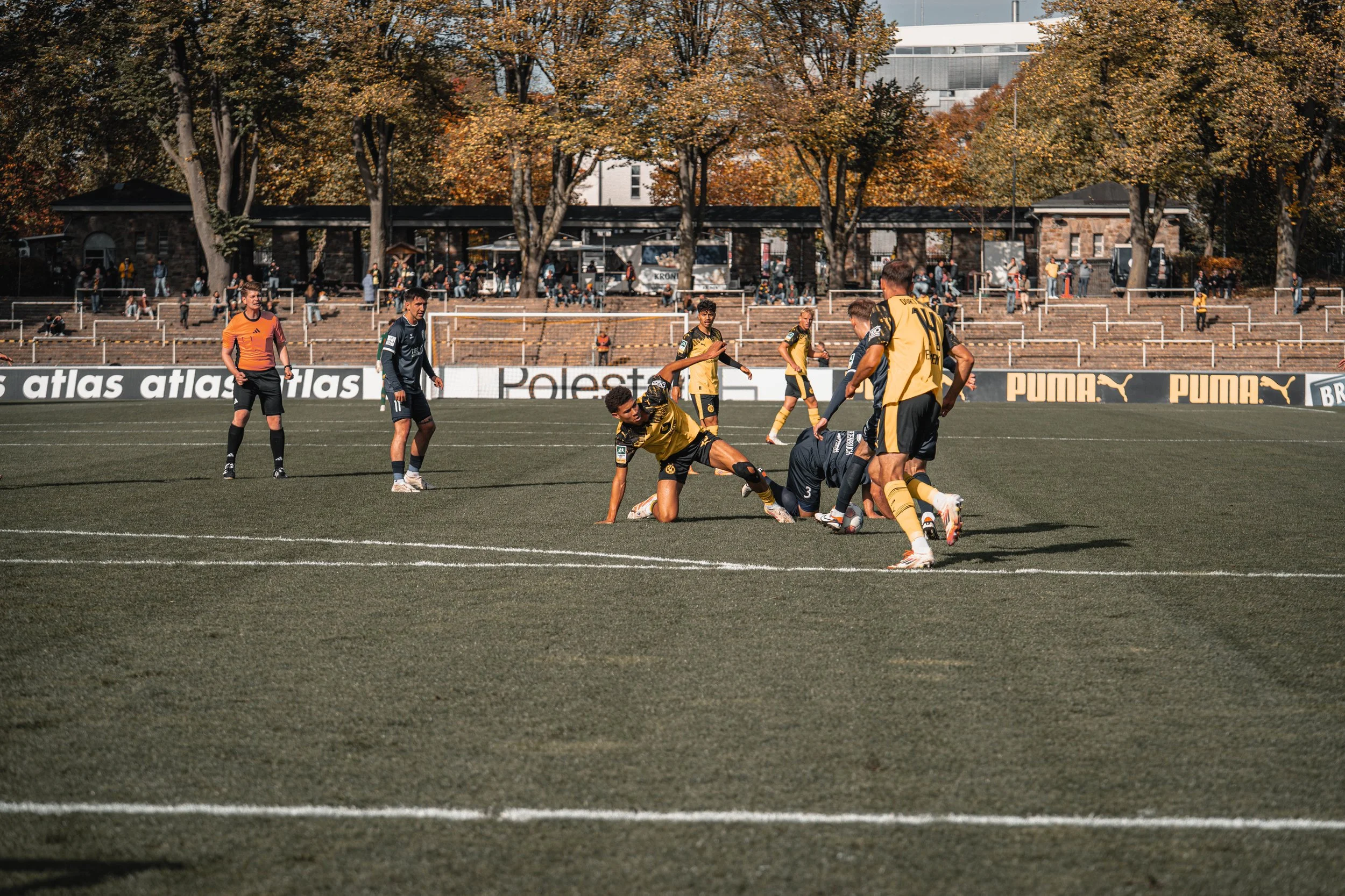 Drive: speed becomes language.