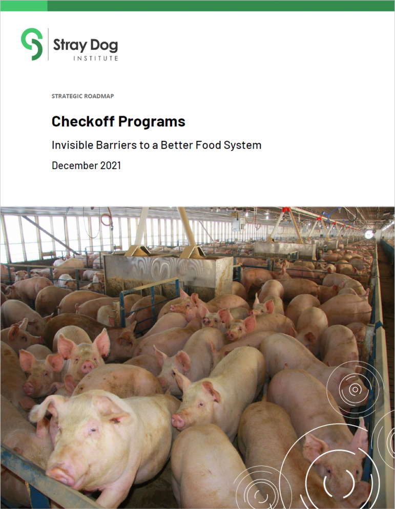 A cover page for a report by the Stray Dog Institute titled "Checkoff Programs: Invisible Barriers to a Better Food System," dated December 2021. The background features a photo of a large pig farm with numerous pigs inside a greenhouse-like structure.