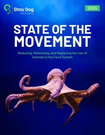Cover of the 2024 report titled 'State of the Movement' by Stray Dog Institute, featuring an octopus against a blue background.
