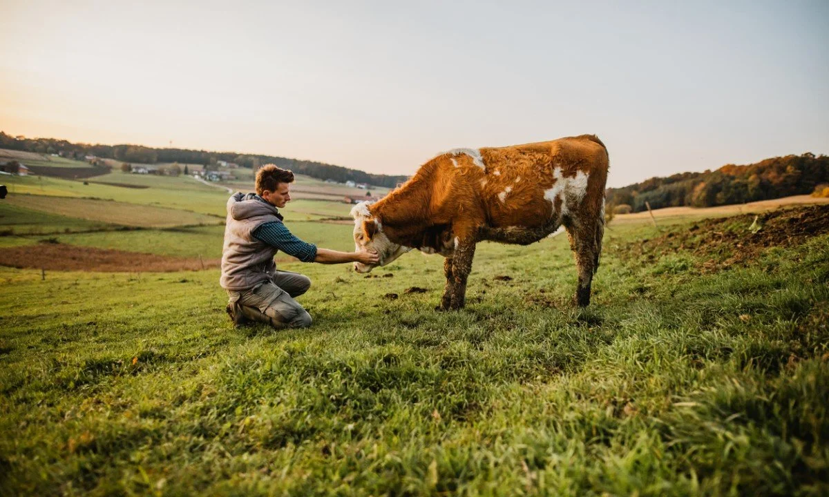Reimagining the Role of Farmed Animals in Regenerative Agriculture