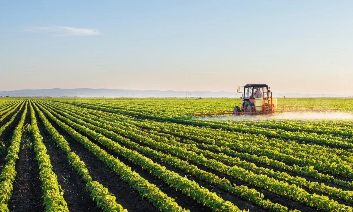 Intensive Agriculture's Impact on the Common Good