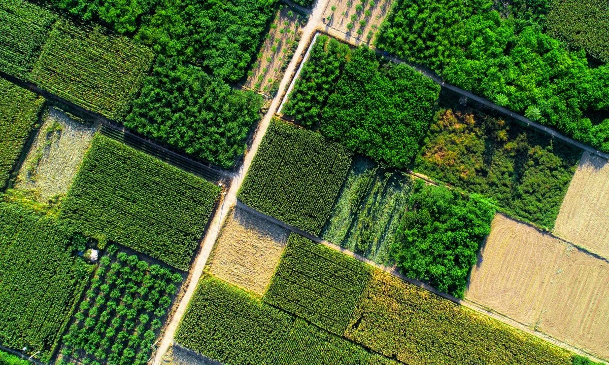 The Importance of Sustainable Agriculture