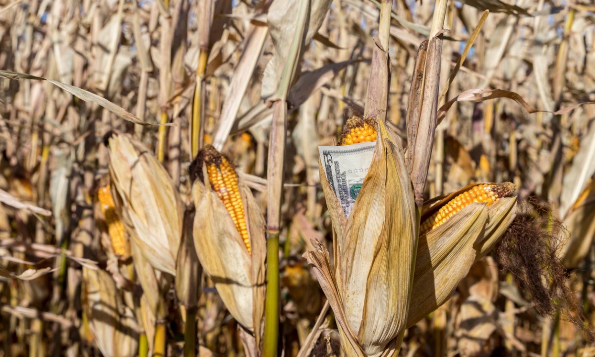 Challenges and Opportunities Surrounding US Agricultural Subsidies