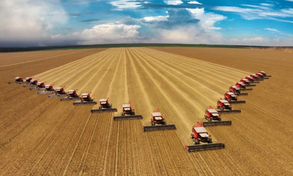The Adverse Consequences of Industrial Agriculture