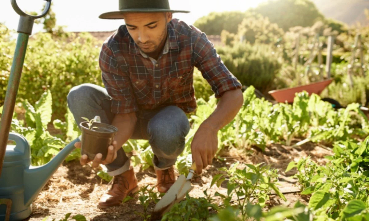 Does Environmentally Sustainable Farming Require Domesticated Animals?