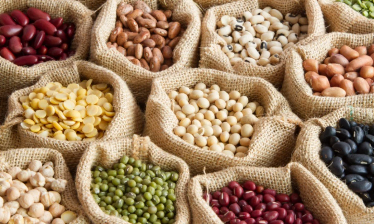 Benefits of a Plant-Based Diet