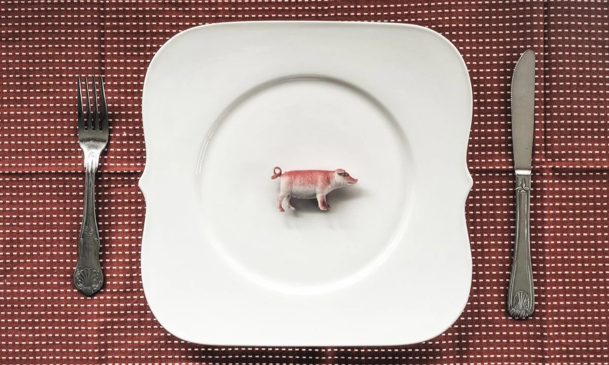 The Impact of Consuming Animals