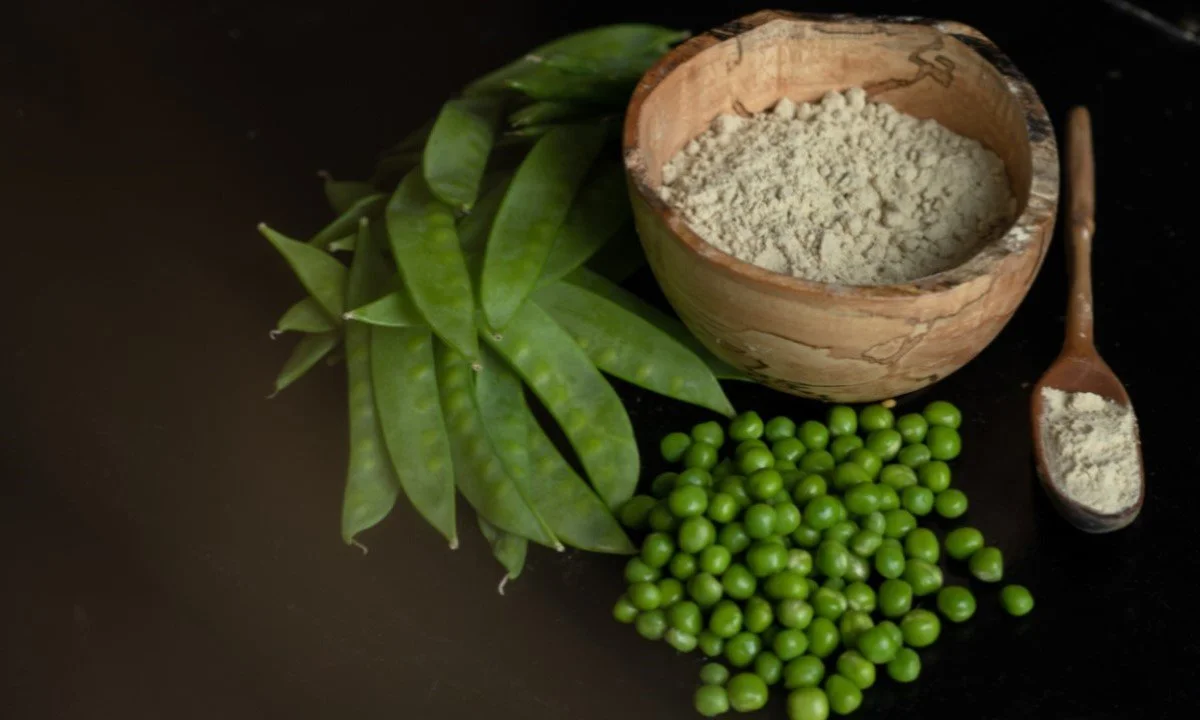 The Transformational Potential of Alternative Protein