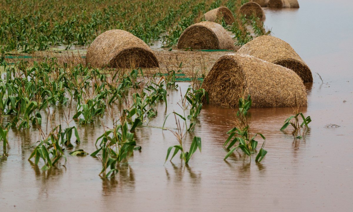 Extreme Weather and US Agriculture