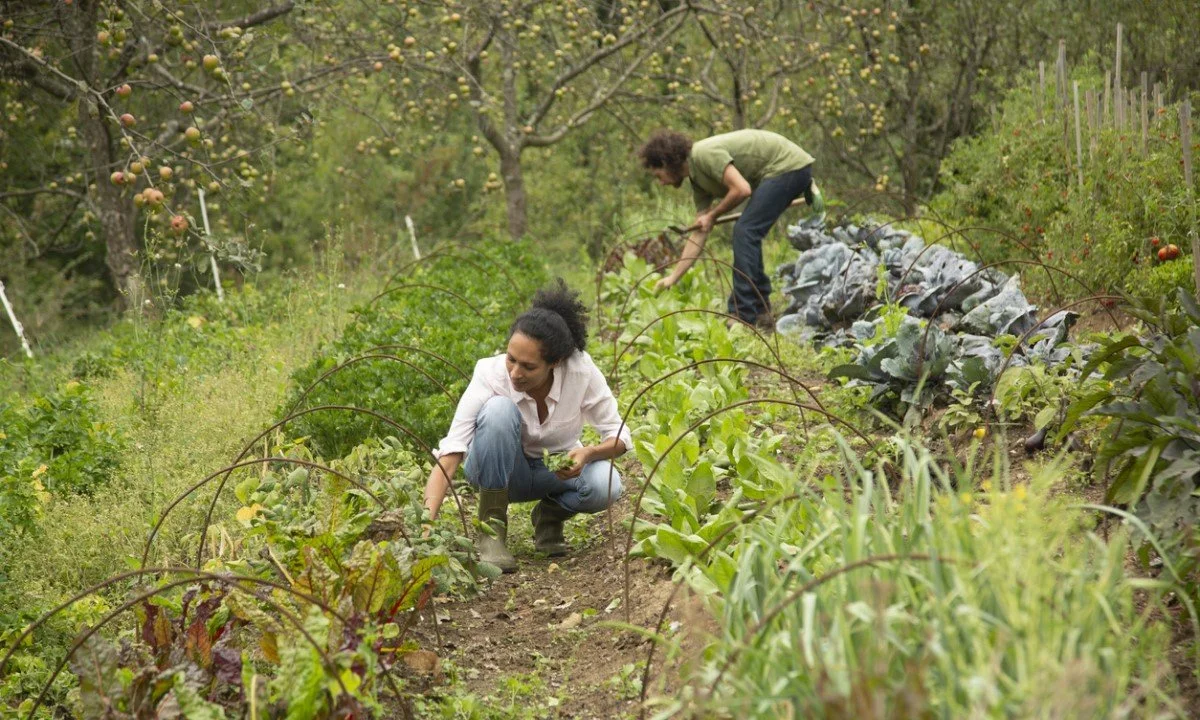 The Global Potential of Agroecology
