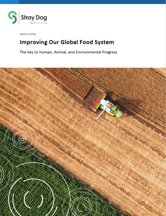 Cover page of a white paper titled 'Improving Our Global Food System' by Stray Dog Institute, featuring an aerial view of a farm with a tractor working on a field and circular patterns in green crops.
