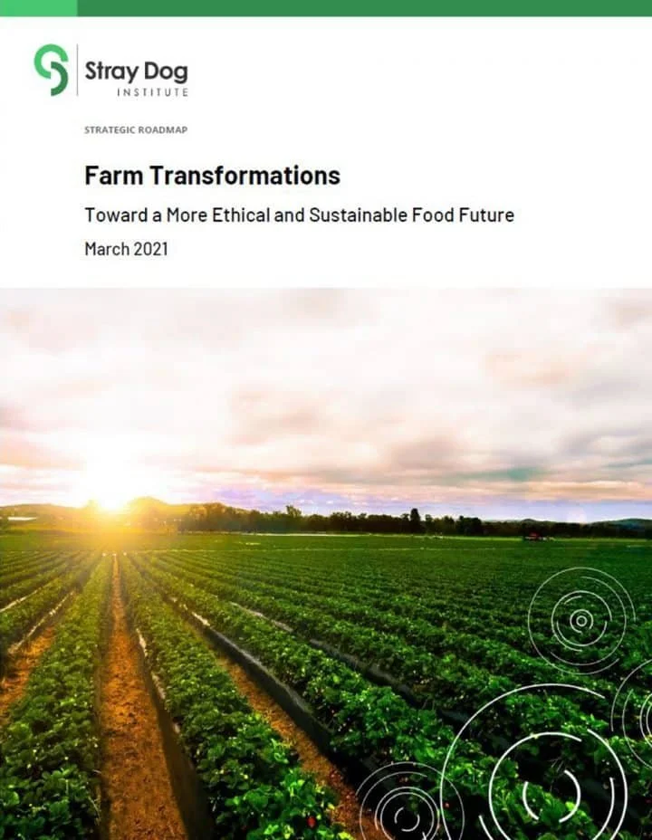 Cover page of strategic roadmap document titled 'Farm Transformations' by Stray Dog Institute, March 2021, featuring a farm field at sunset with rows of green crops and a cloudy sky.