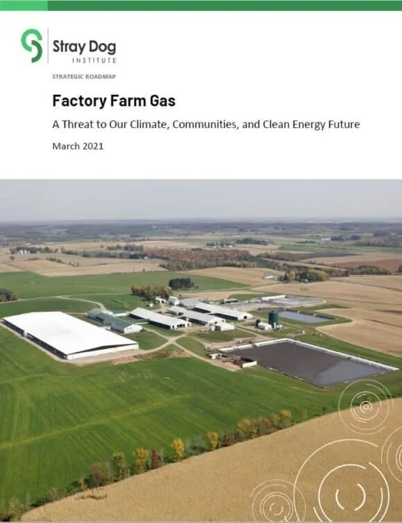 Aerial view of a factory farm with large buildings, green fields, and a pond, overlaid with a report cover titled 'Factory Farm Gas' from the Stray Dog Institute.