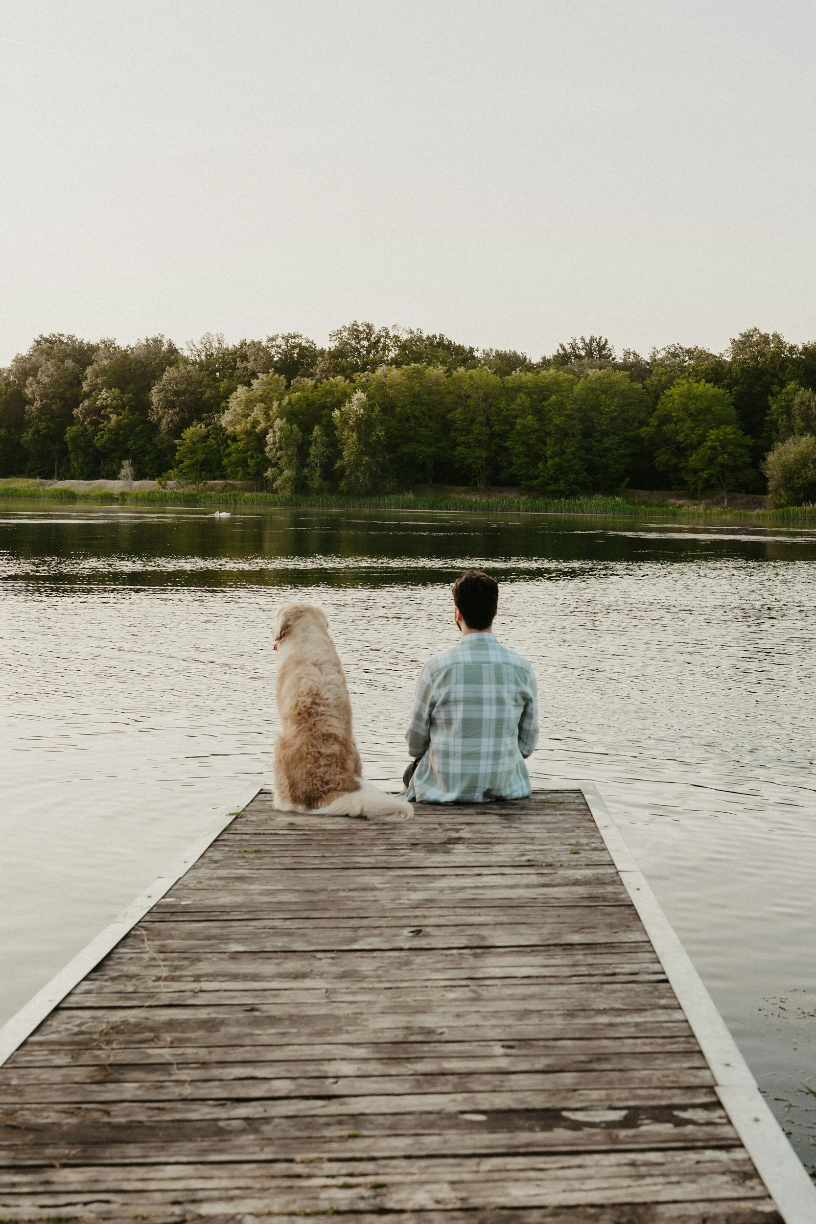 Mensch und Hund entspannt im Alltag nach erfolgreichem Online-Hundetraining.