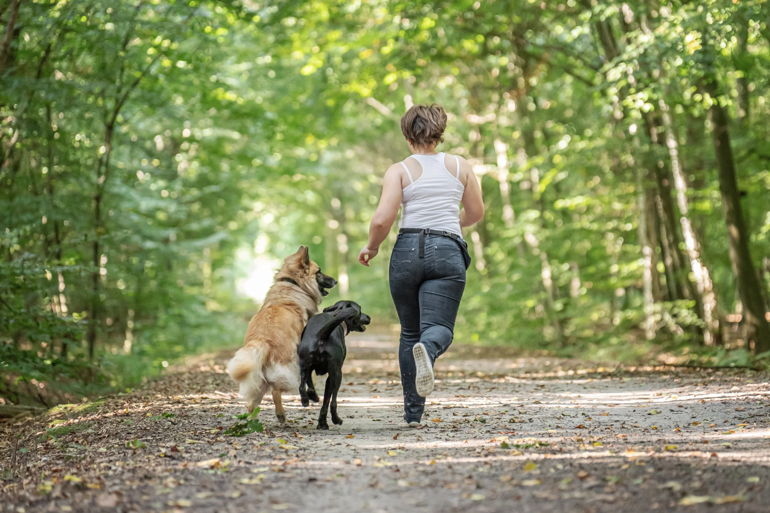 Mensch und Hund laufen gemeinsam und glücklich beim individuellen Hundetraining miteinander.