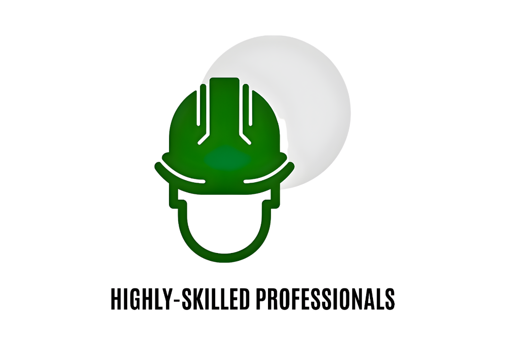 A green computer mouse with a light shining on it, set against a white background, with the text 'HIGHLY SKILLED PROFESSIONALS' below.