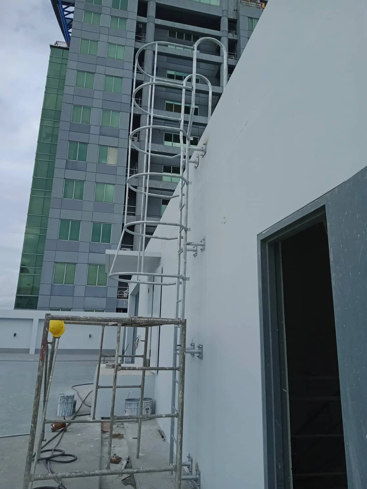 Caged Ladder Rung.jpg