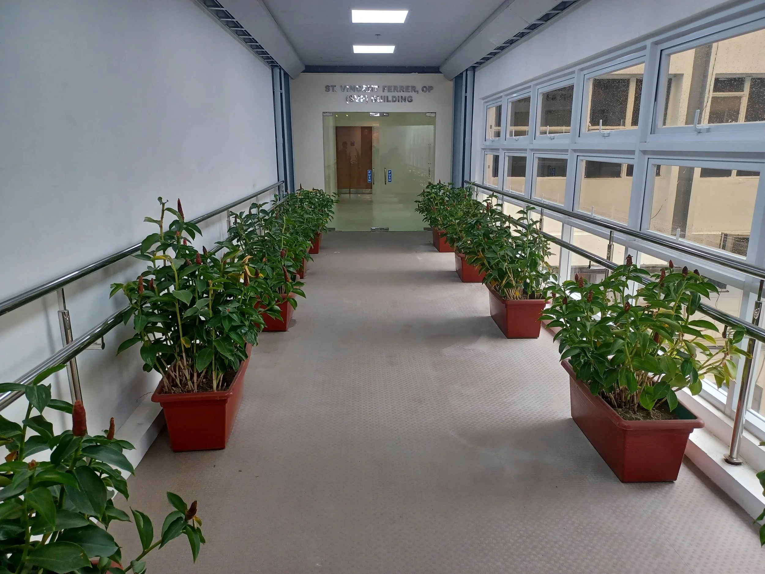 Indoor walkway with potted plants along the walls, leading to double glass doors at the end.