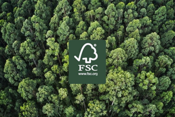 Et fugleperspektivbillede af en tæt skov med FSC-logoet placeret midt i billedet.