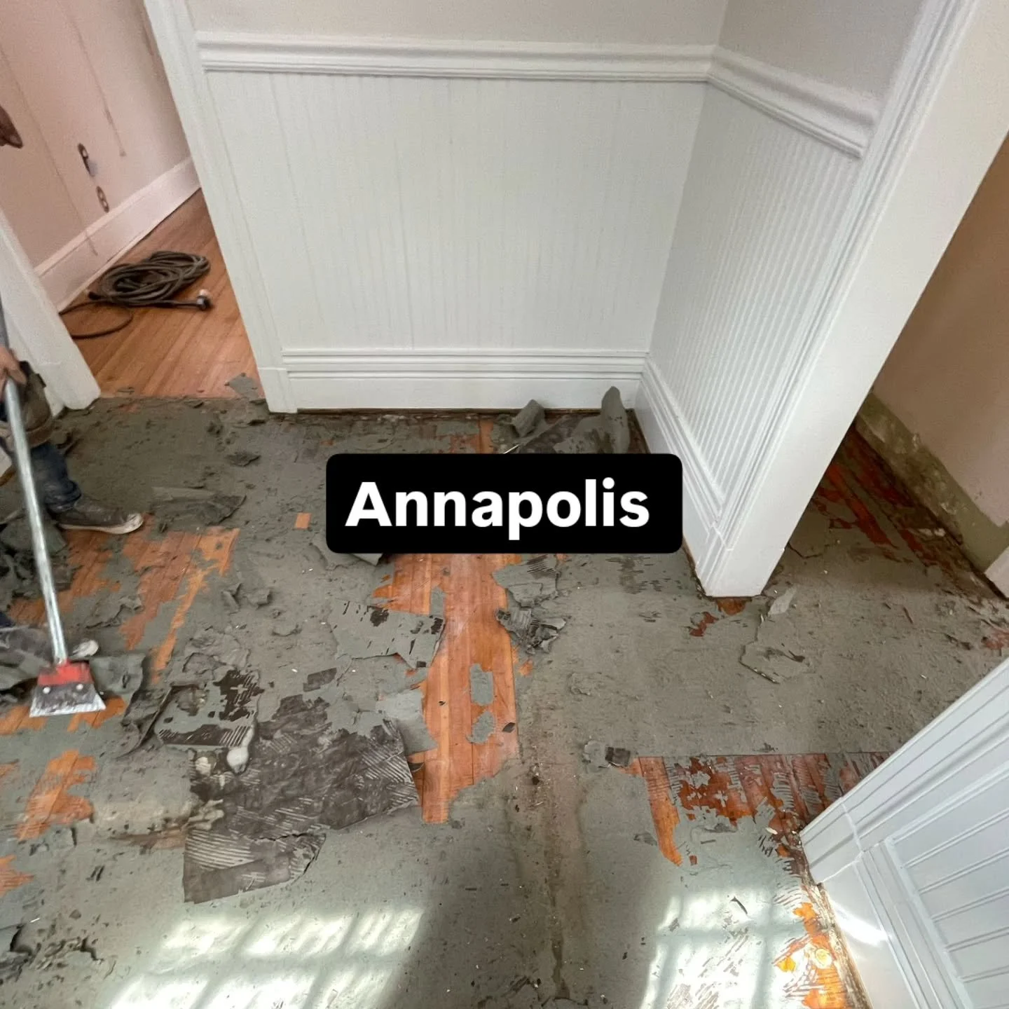 Pine Restoration in Annapolis MD