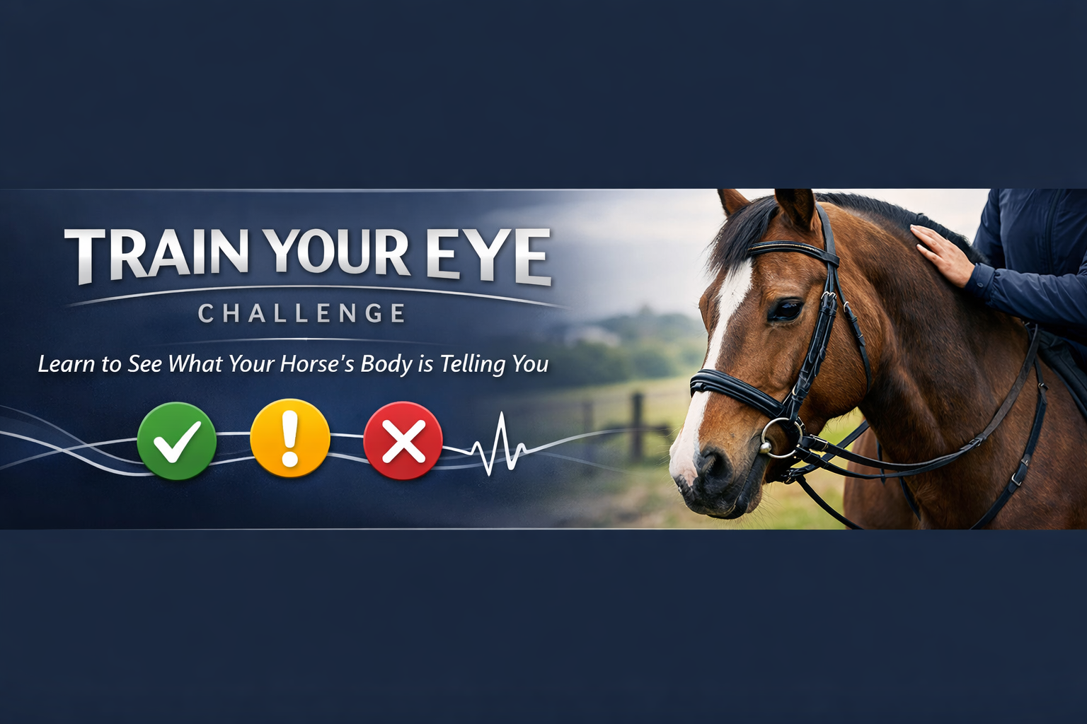 Train Your Eye Challenge