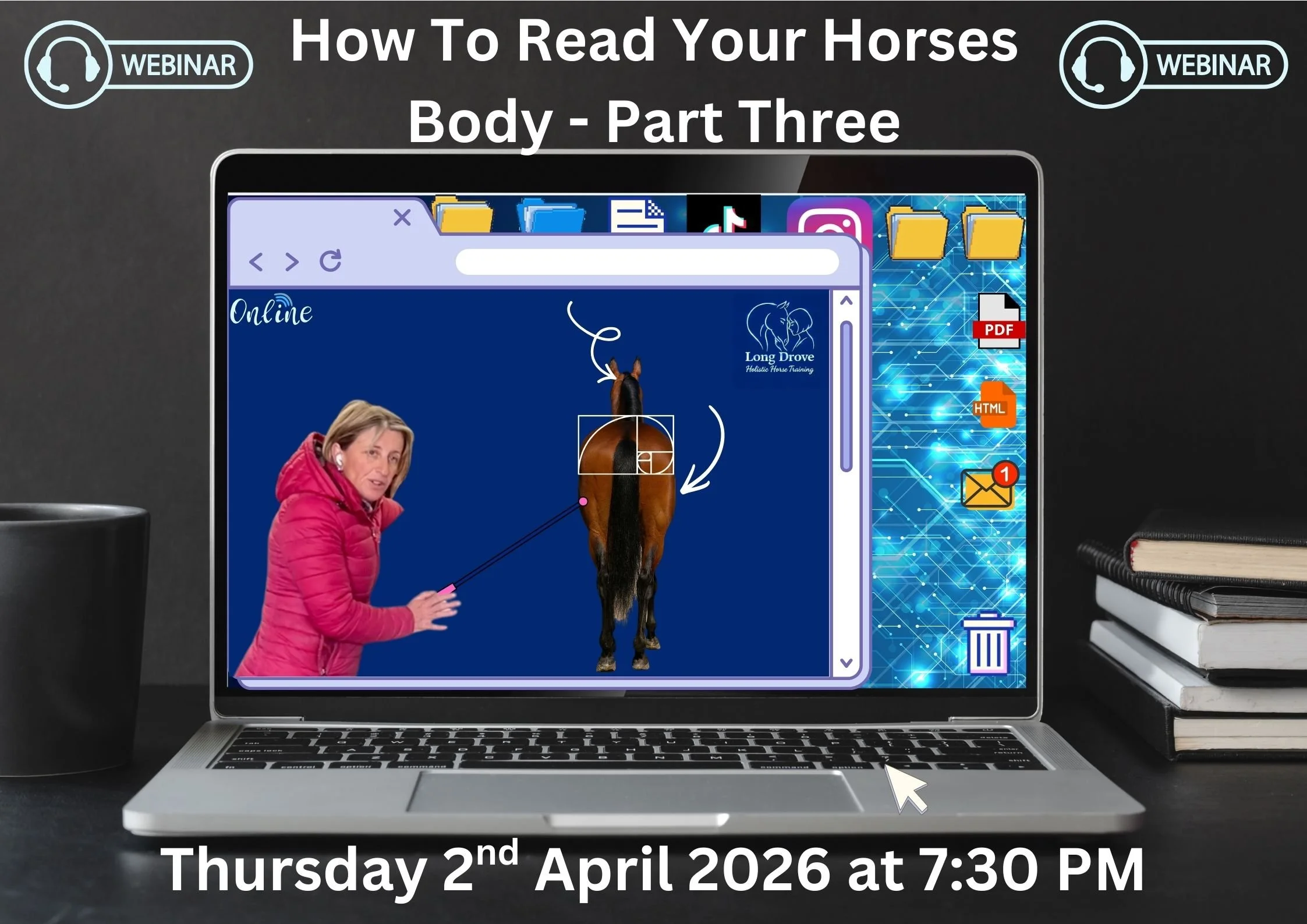 How To Read Your Horses Body - Part 3