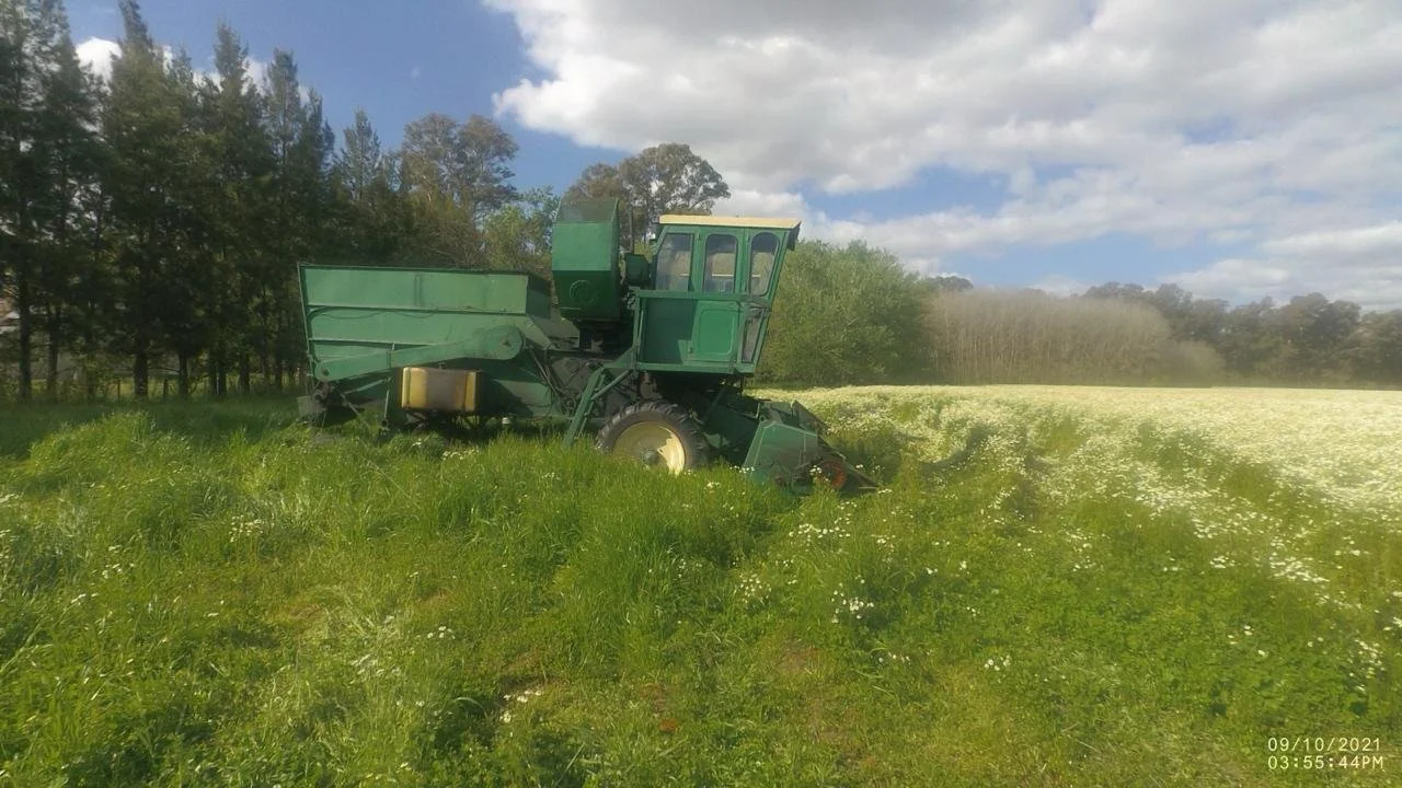 MANZANILLA TRACTOR.jpeg