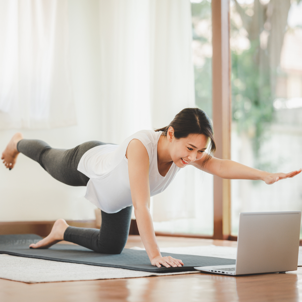 12 Week Wellness Program