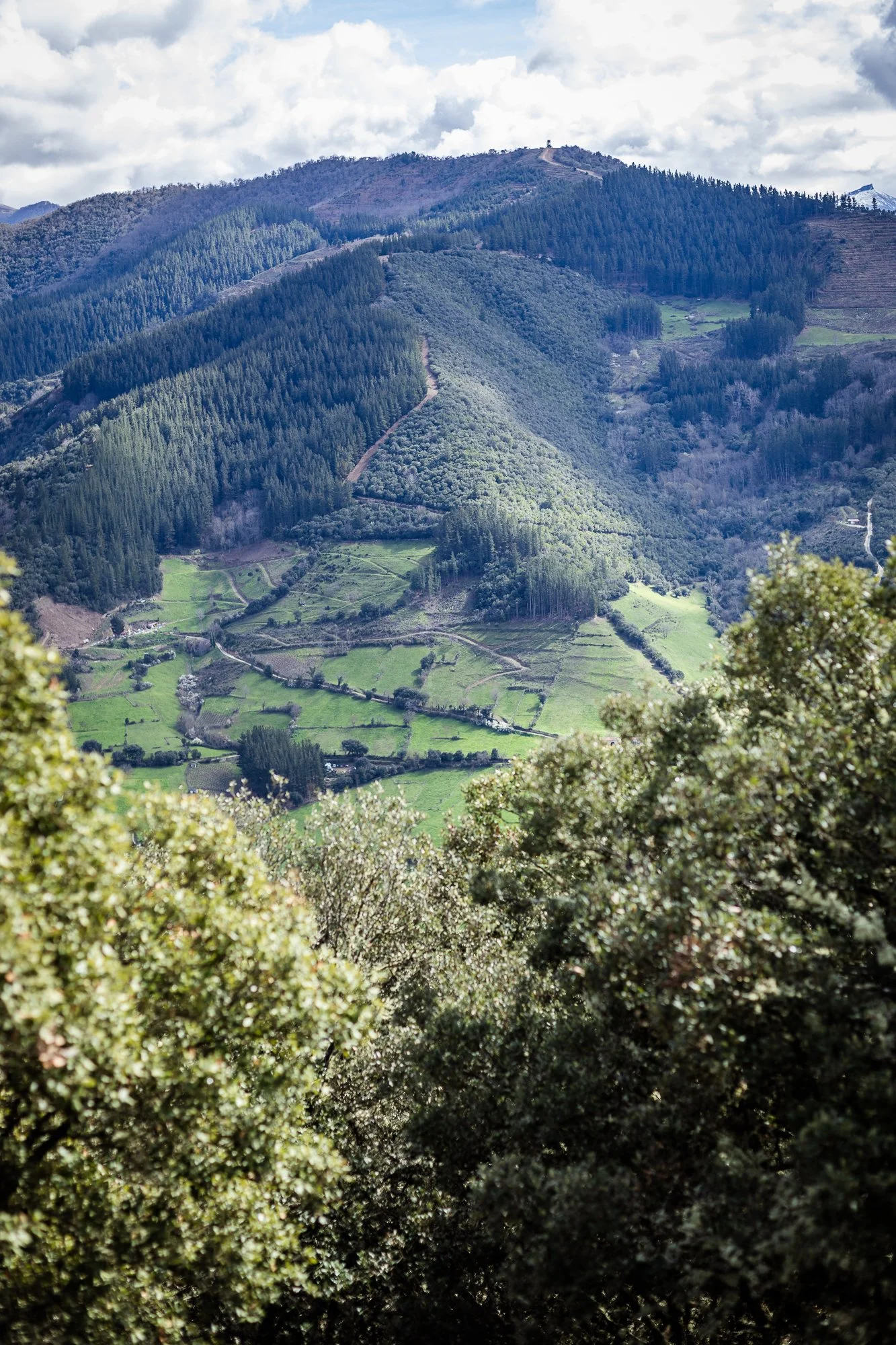 Cabollos De Castilla MR-079.jpg