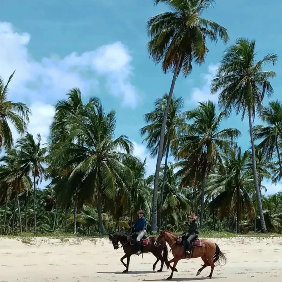 THE COCONUT TRAIL, BRAZIL $4,330