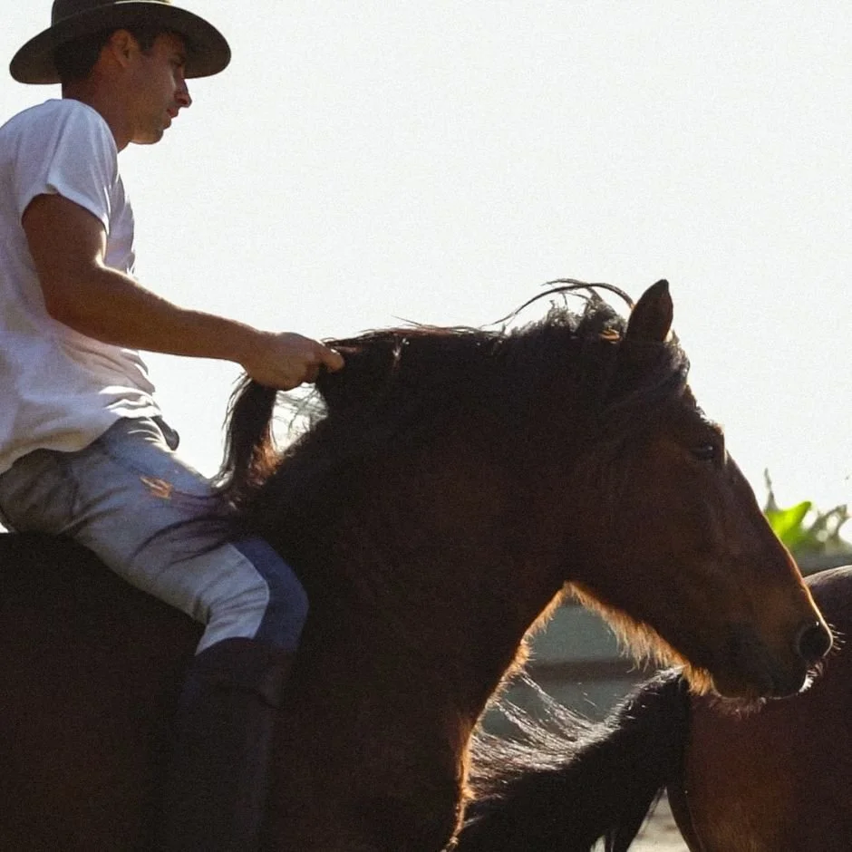 GALICIA, SPAIN €1750