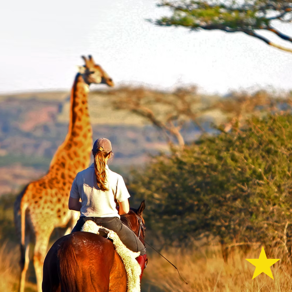 UMGENI, SOUTH AFRICA £1,000