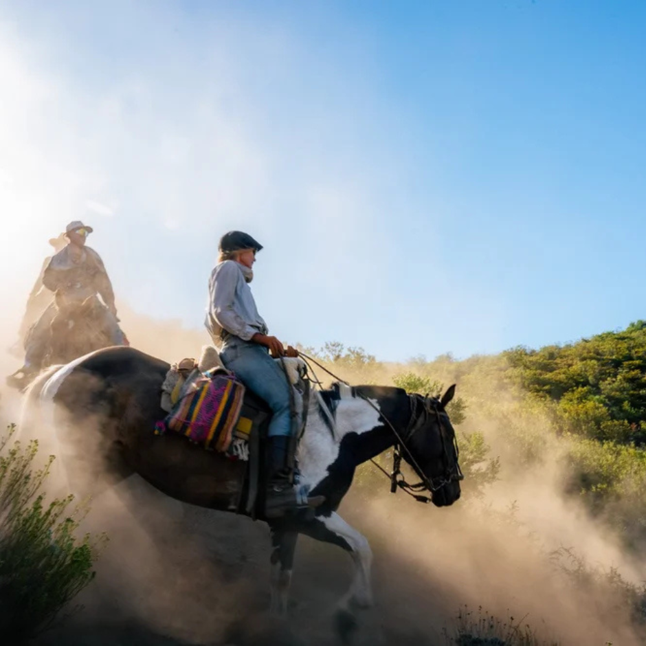 PATAGONIA, ARGENTINA $3,350