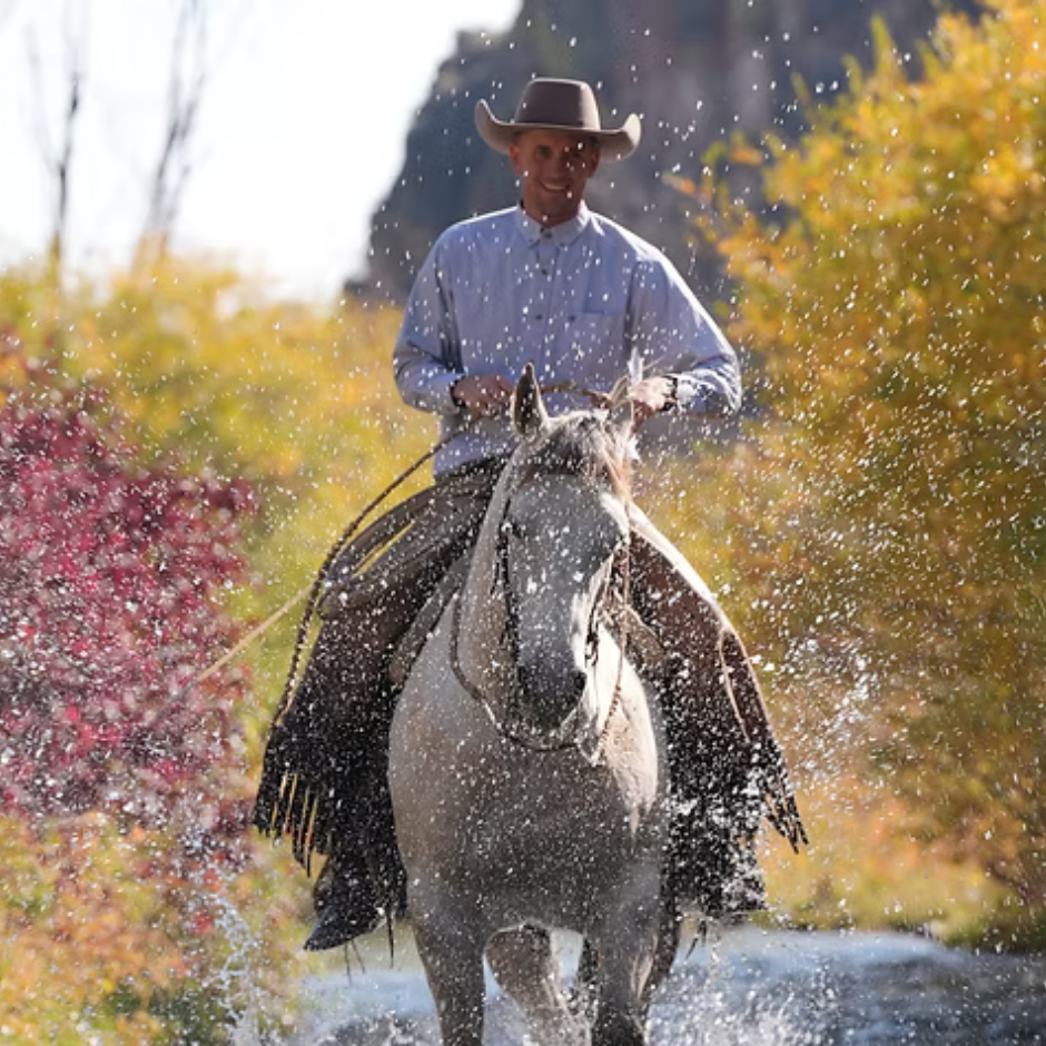 HORSE DRIVE , IDAHO USA $6,800