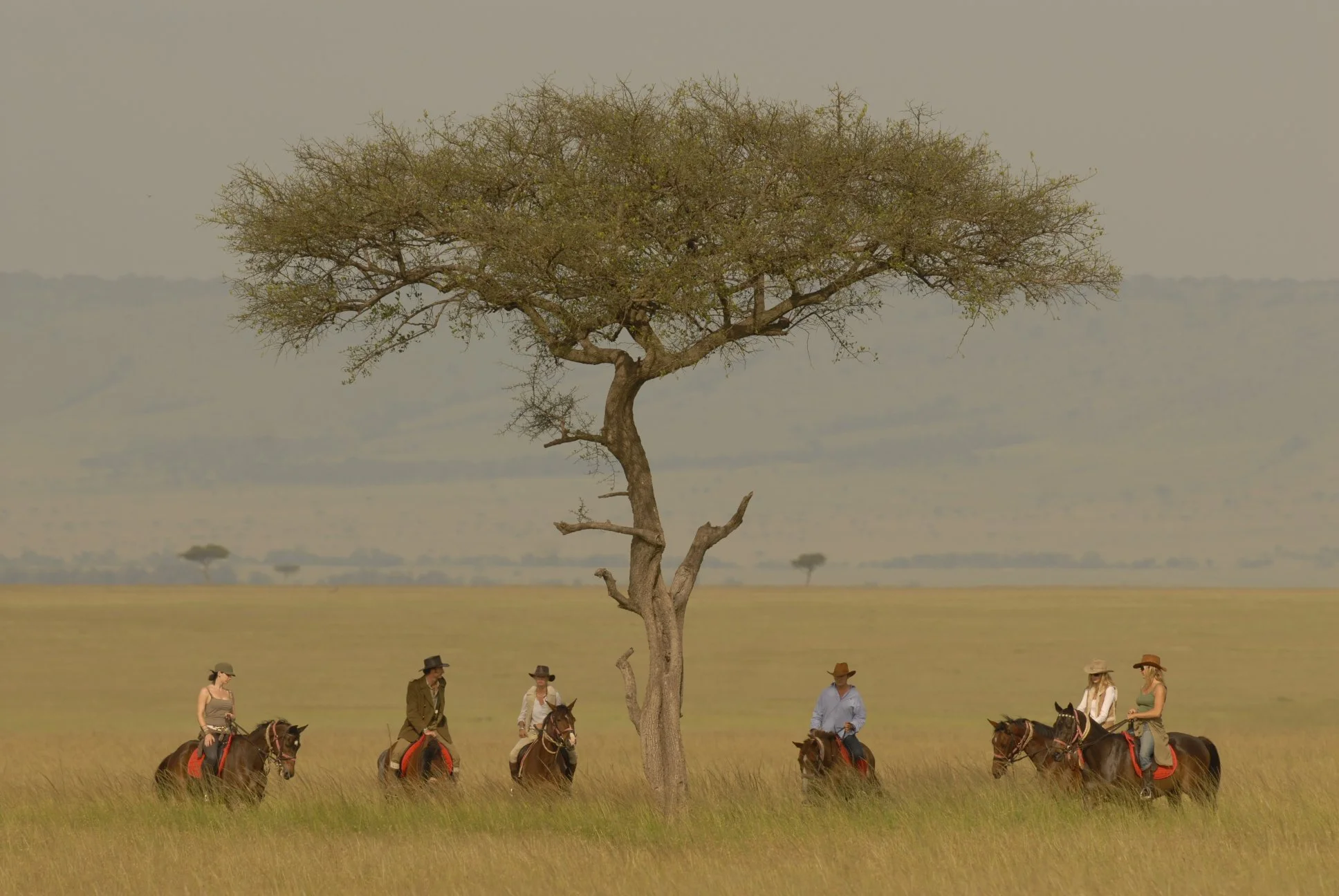 KENYA: Under Canvas, Chasing the Wild&nbsp;
