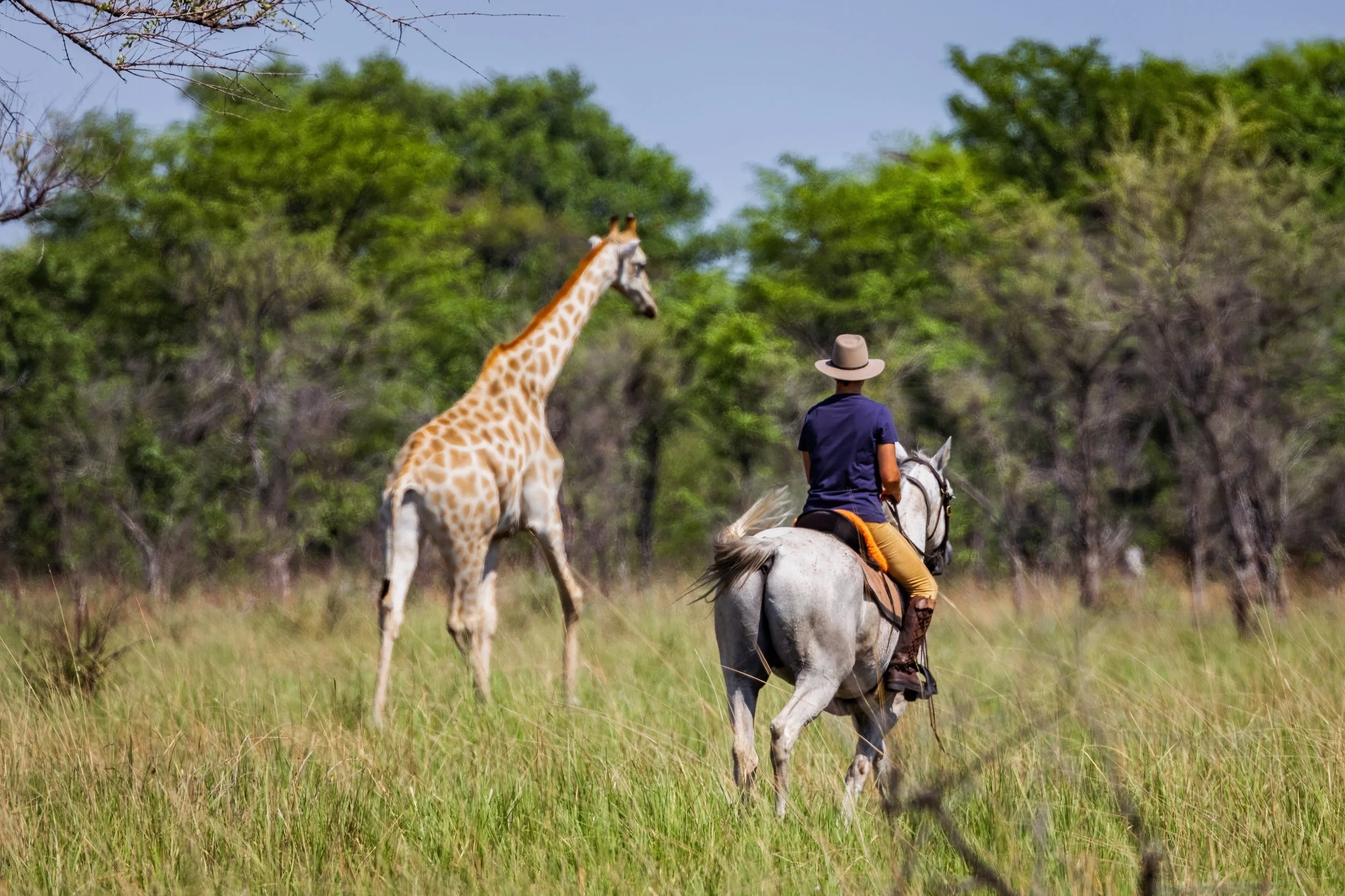 ZAMBIA: Untouched Wilderness &amp;&nbsp;Intimate Camps 