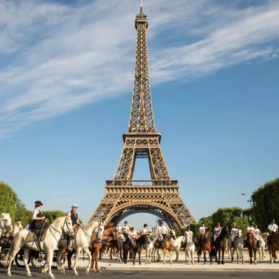 (2026-01-29) Paris at a canter. Sicily on a volcano. Knitting in Iceland. Um, yes?