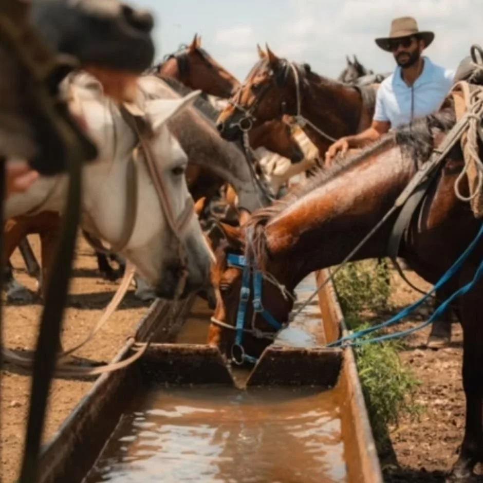 GEORGIA: Vashlovani Trail €1,180