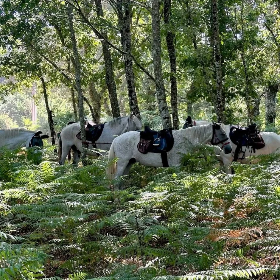 SPAIN: The Borderlands €1,980